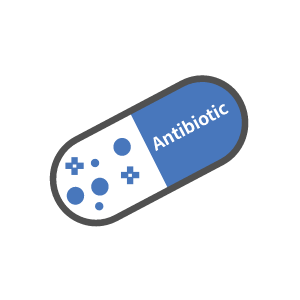 항생제 Antibiotic